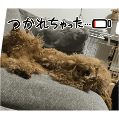 SAKURA_20240404205756