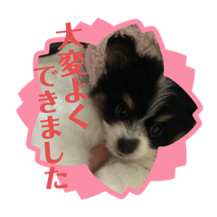 Nonnene_20240404203833