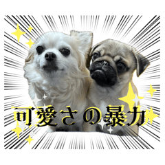 Michiko_20240405005325
