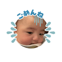 Tsubaki_20240405003145