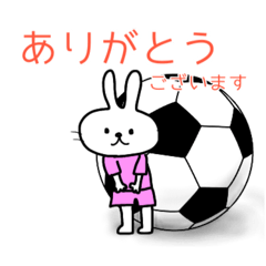 蹴球うさぎ(ピンクユニ)サッカー