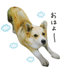 yuka_20240404230026