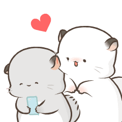 Simao & Bamao ชินชิลลานุ่มนิ่ม 10