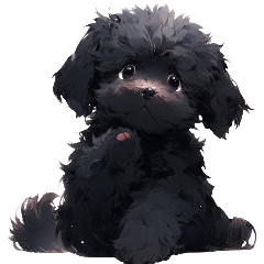 Cute daily life of little black poodle