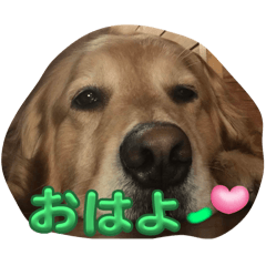 AlmaMora_20240404041104