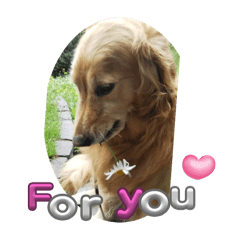 AlmaMora_20240404040528