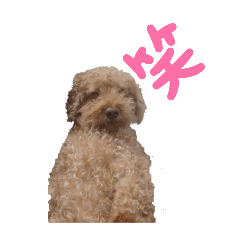 reonsan_20240405153632