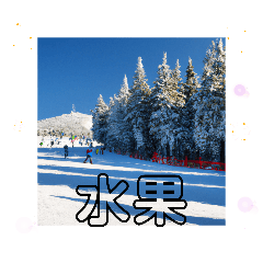 高雄市　日常品リスト　雪景色のゲレンデ