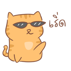 Hi Hi Orange cat