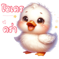 cute little duck 1