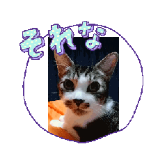 tomotomotonomi