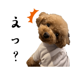 mocomommy_20240406084231