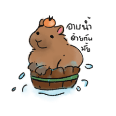 Capybara & dog