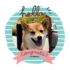 Sakura_20240406191533