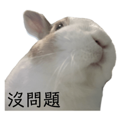 リリー ヽ(‘ ∇‘ )ノ