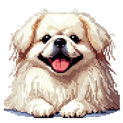 Pixel art white pekingese dog