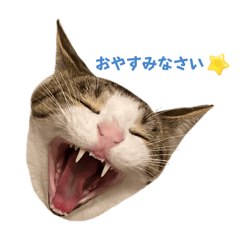 杏忍(あんにん) - LINE スタンプ | LINE STORE