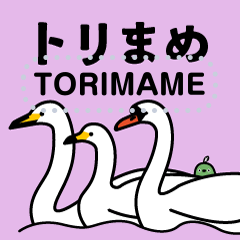 Wild Bird Message Sticker -Torimame13-