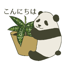 Rare plants Pandas Japanese language