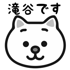 Takiya white cats sticker