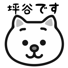 Tsuboya white cats sticker