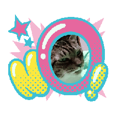 tomotonotonomi