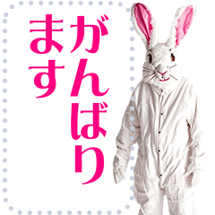 creepy rabbit Sticker