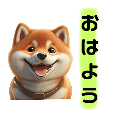 PokoPoko_20240406150034