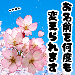 Cherry blossom custom sticker