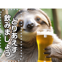 High quality beer loving sloth