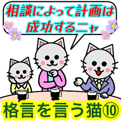 格言を言う猫⑩ ★良い判断をするには★