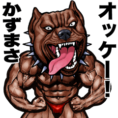 Kazumasa dedicated Muscle macho animal