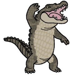 Crocodile or Alligator