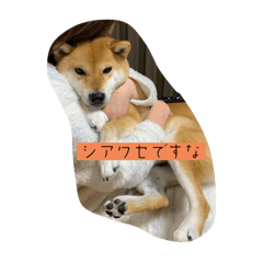 kichi_20240406204828