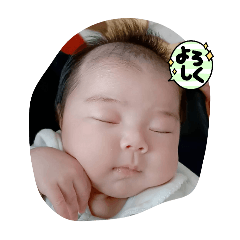 rui_20240406223741