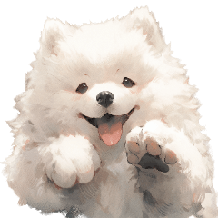 Let Samoyed's smile heal you
