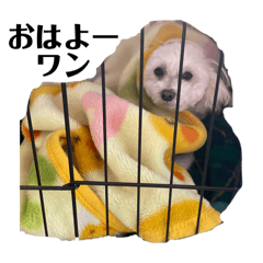 soutyou_20240407002651