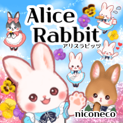 Alice is a cute rabbit.