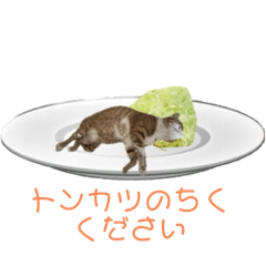 kanokun_20240407115118