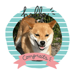 Sakura_20240407195435