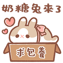 Milk Caramel Rabbit