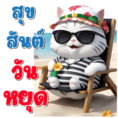 Chubby Cat Songkarn Summer
