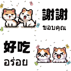 Two cats cute gummy candy thai5