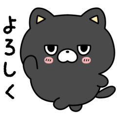 HOIPON BLACK CAT