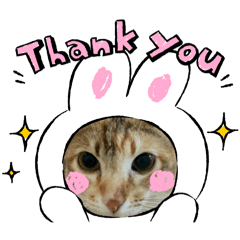 Sakura_20240409101111