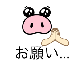 ruitotto_20240408152617