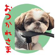 F sama's sticker