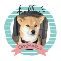 Sakura_20240409102042