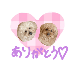 yuka_20240408234201