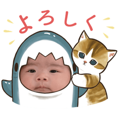 chisa_20240409183527